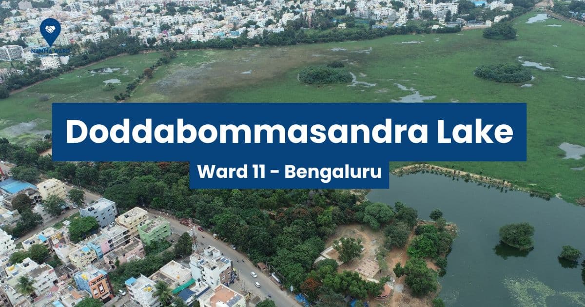 Doddabommasandra Lake – A Revived Urban Oasis in Ward 11