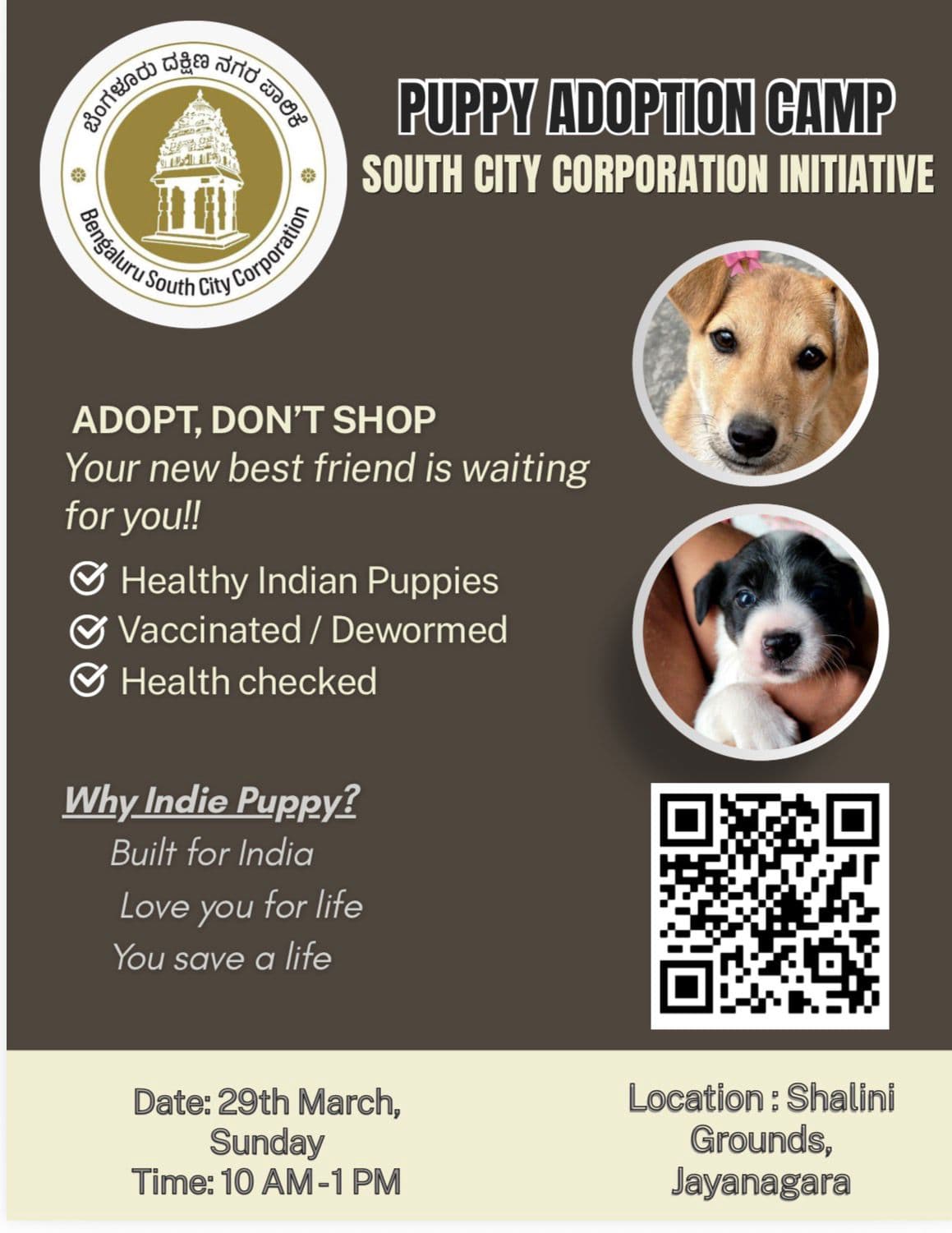 Dog Adoption Camp by South Corporation in Jayanagar on March 29