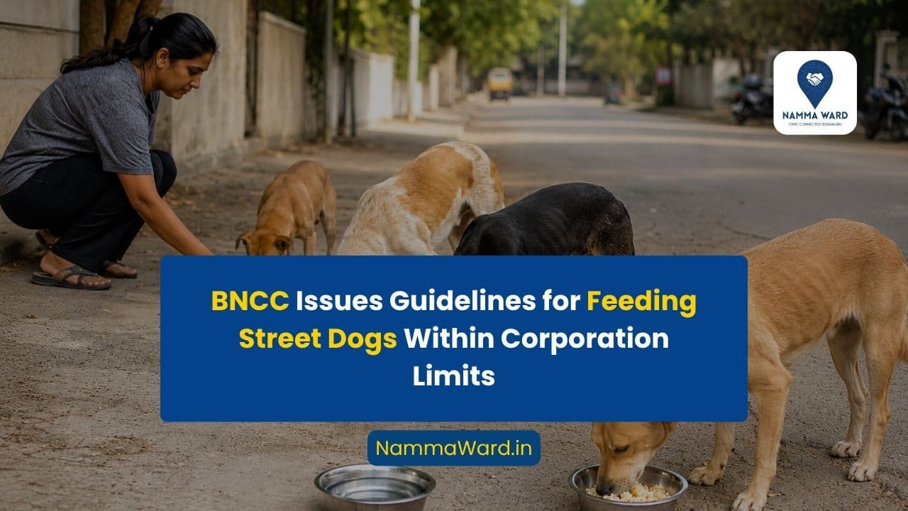 BNCC Issues Guidelines for Feeding Street Dogs Within Corporation Limits