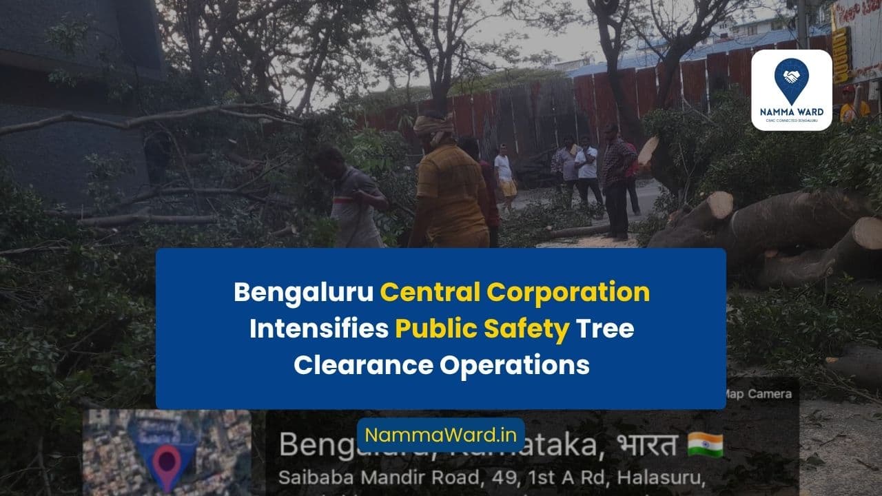 Dangerous Tree and Fallen Branch Clearance Work Intensified in Bengaluru Central Corporation