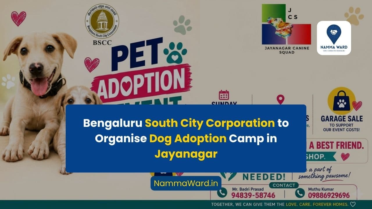 Bengaluru South City Corporation to Organise Dog Adoption Camp in Jayanagar