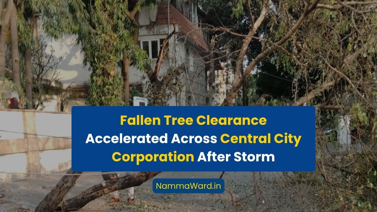 Fallen Tree Clearance Accelerated Across Central City Corporation After Storm