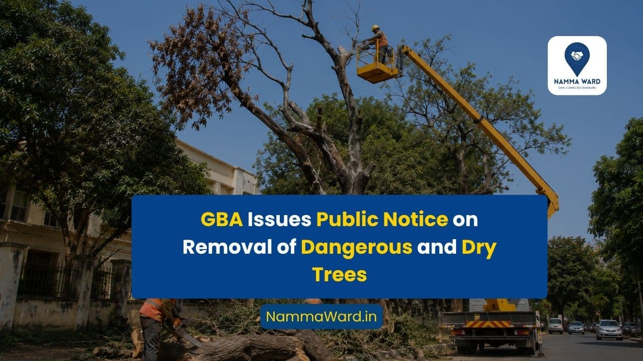 Greater Bengaluru Authority Issues Public Notice on Removal of Dangerous and Dry Trees