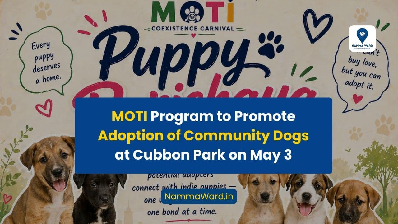 MOTI Program to Promote Adoption of Community Dogs at Cubbon Park on May 3