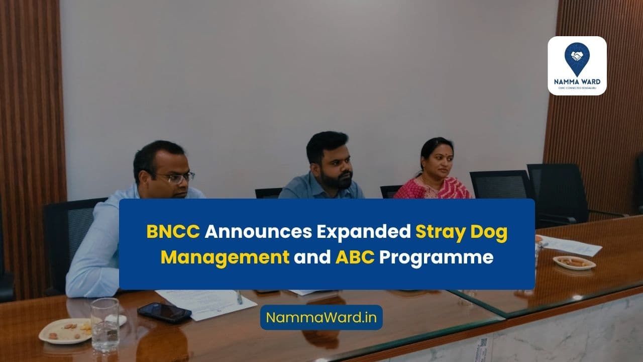 BNCC to Intensify Stray Dog Control, Expand Shelters and Strengthen ABC Programme