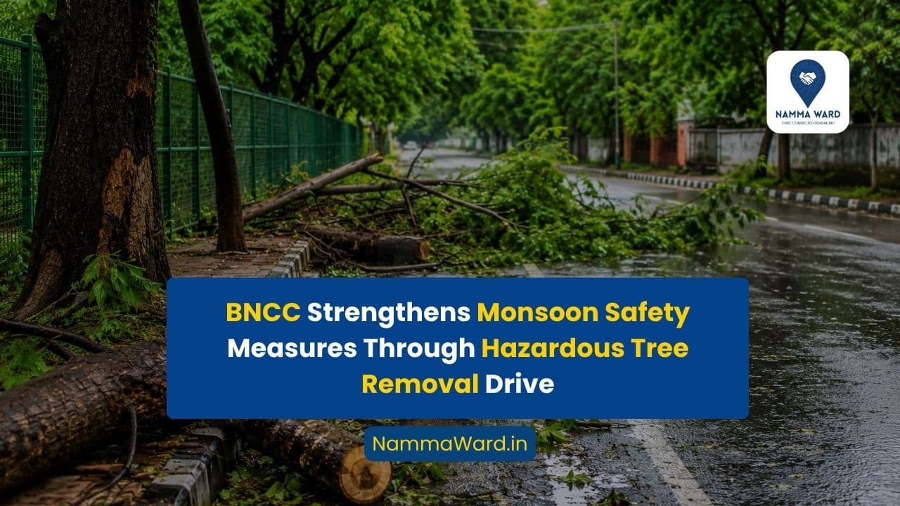 Commissioner Directs Faster Removal of Hazardous Trees and Hanging Branches During Monsoon