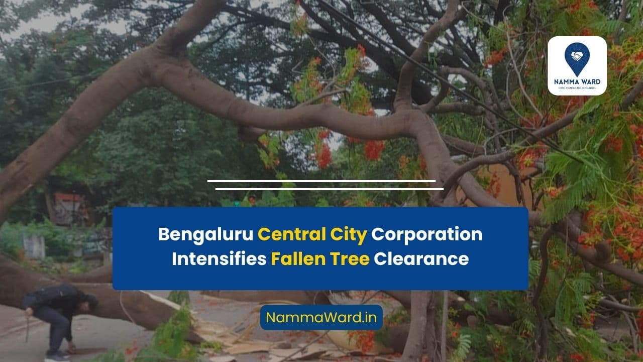 Fallen Tree Clearance Work Intensified Across Bengaluru Central City Corporation