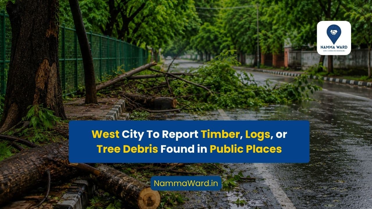 Instruction to Report Timber, Logs, or Tree Debris Found in Public Places