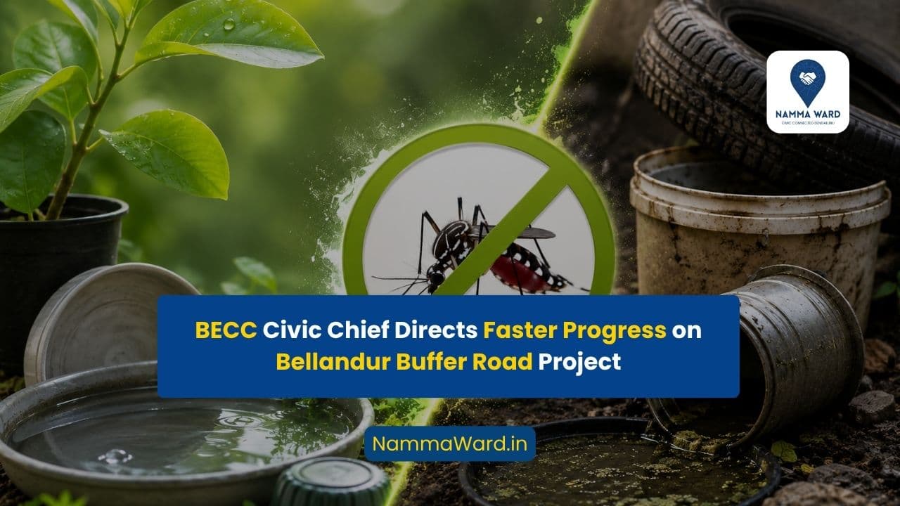 BNCC Intensifies Mosquito Source Reduction Drive to Prevent Dengue Spread